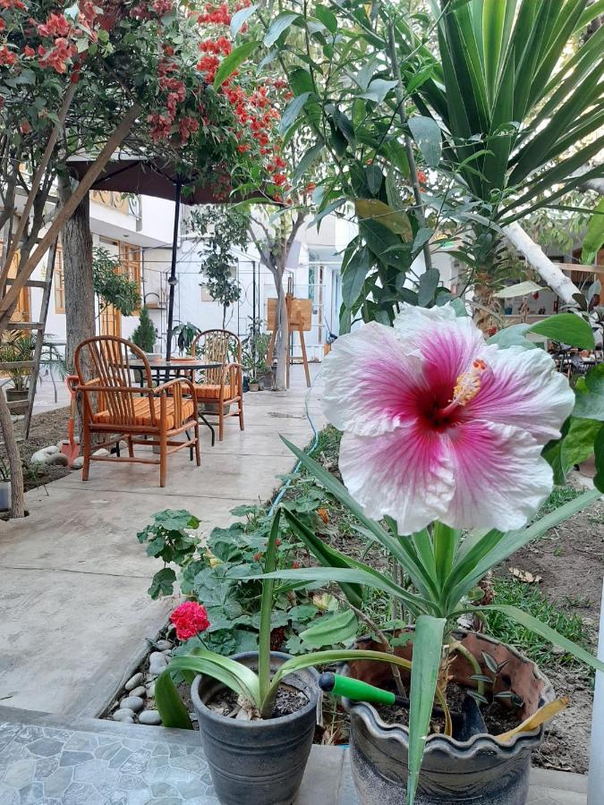 El Huerto Hostel Іка Екстер'єр фото